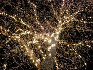 holiday tree decorating