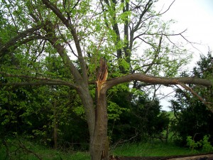 storm damage