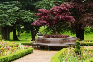 Building Benches Around Your Yard's Trees