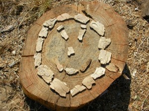 Cartwright Tree Care stump removal
