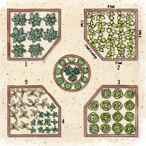 edible gardens