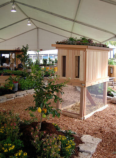 edible garden
