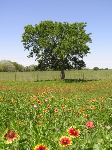 compost Kansas Missouri