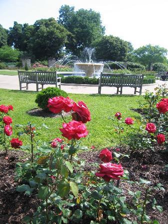 Loose Park 