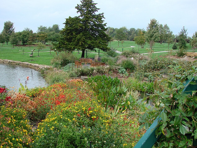 Monet Garden