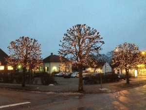 Lighting the Trees in Your Yard