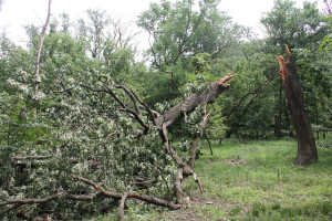 storm damage