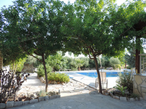 privacy of trees
