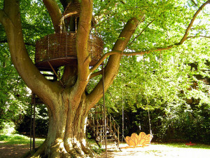 games you can play with a tree