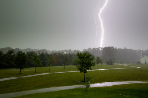 Keep tree safe from lightning