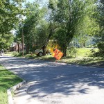 Missouri Trees