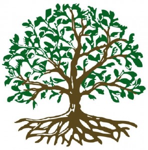 Cartwright Tree Care