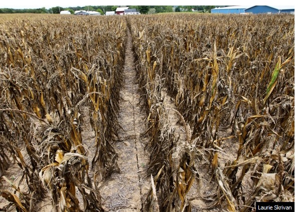 Missouri drought