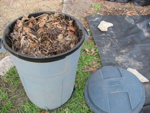 The Proper Way to Bag Leaves