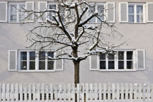 tree care kansas city