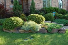 landscaping for homes
