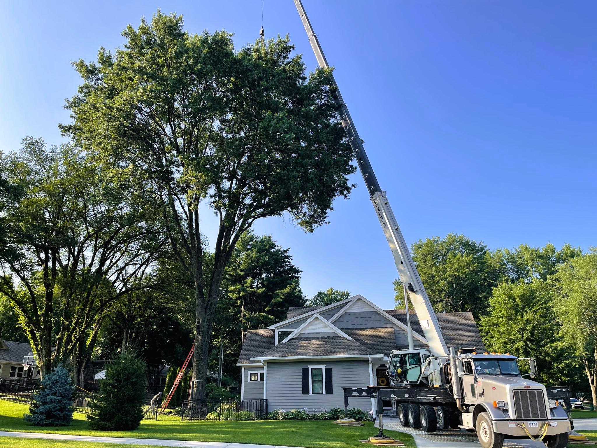 20210719_133928745_iOS-1709485502019