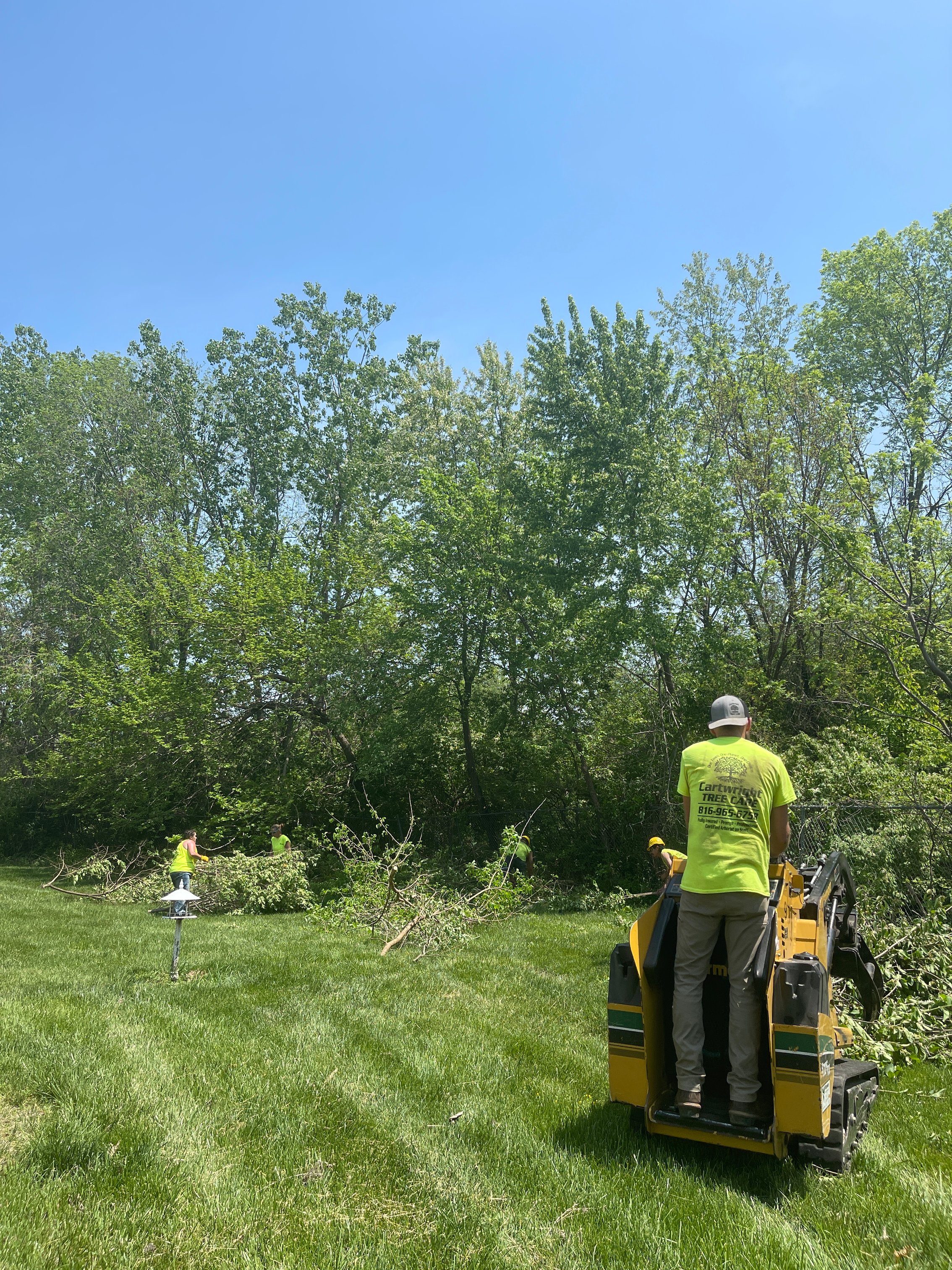 20220511_174554726_iOS