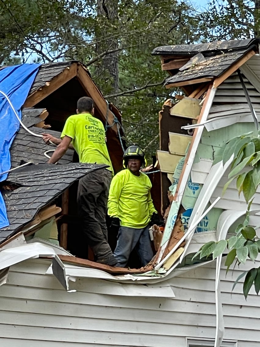 Missouri Storm Preparedness Week: Why Tree Safety Should Be a Priority