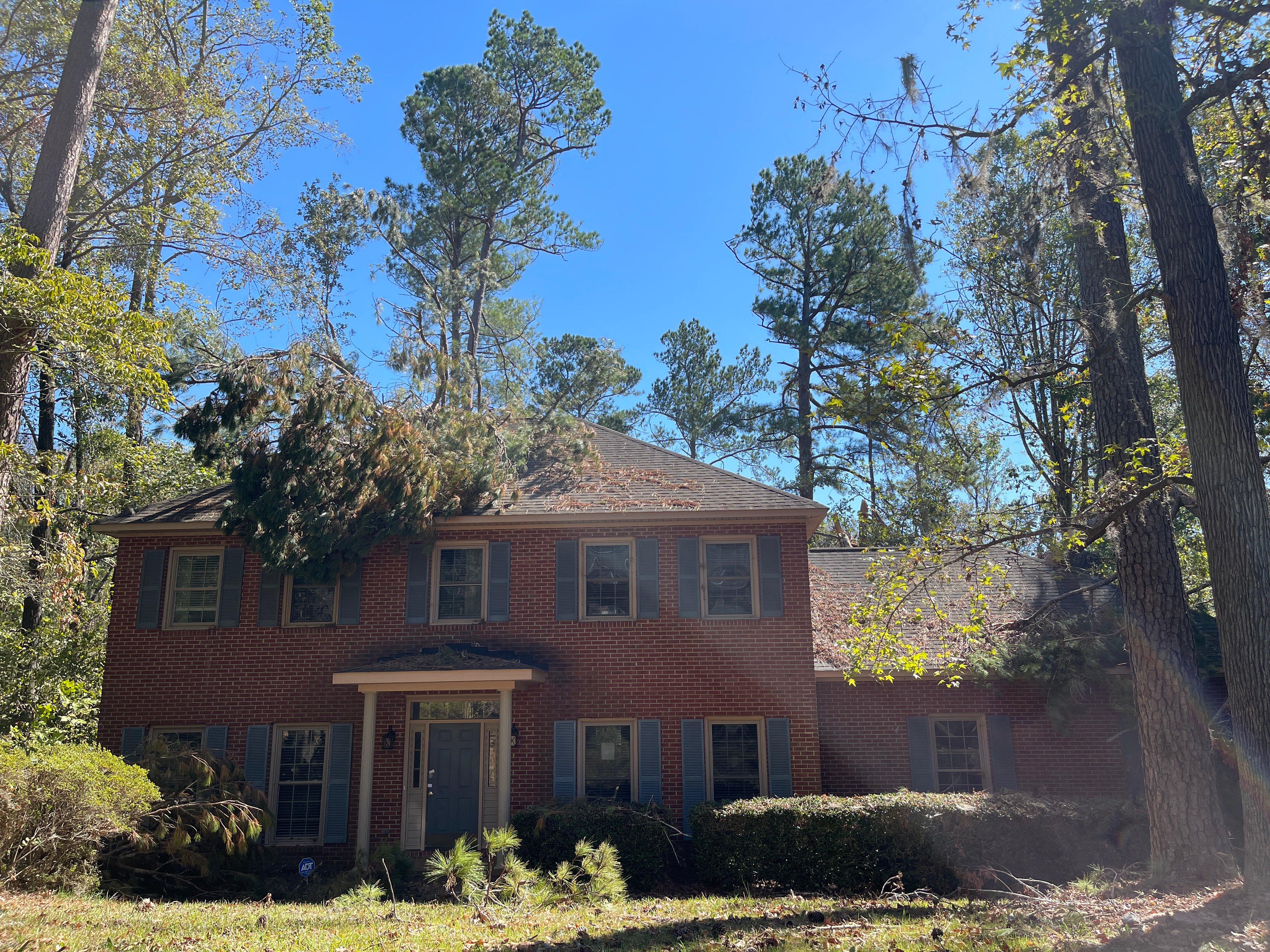 20241010_164630994_iOS