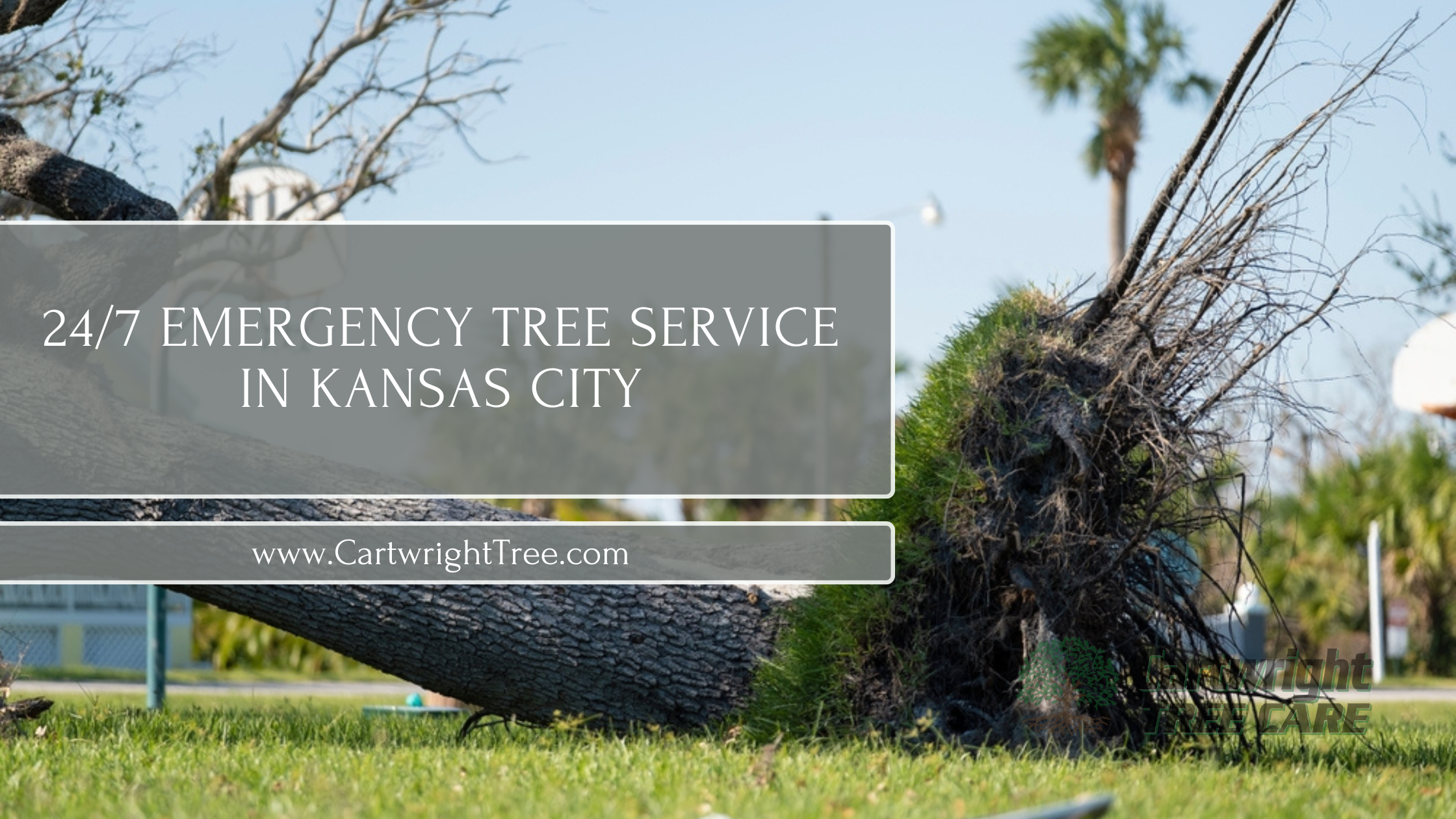 24 Emergency Tree Service in Kansas City
