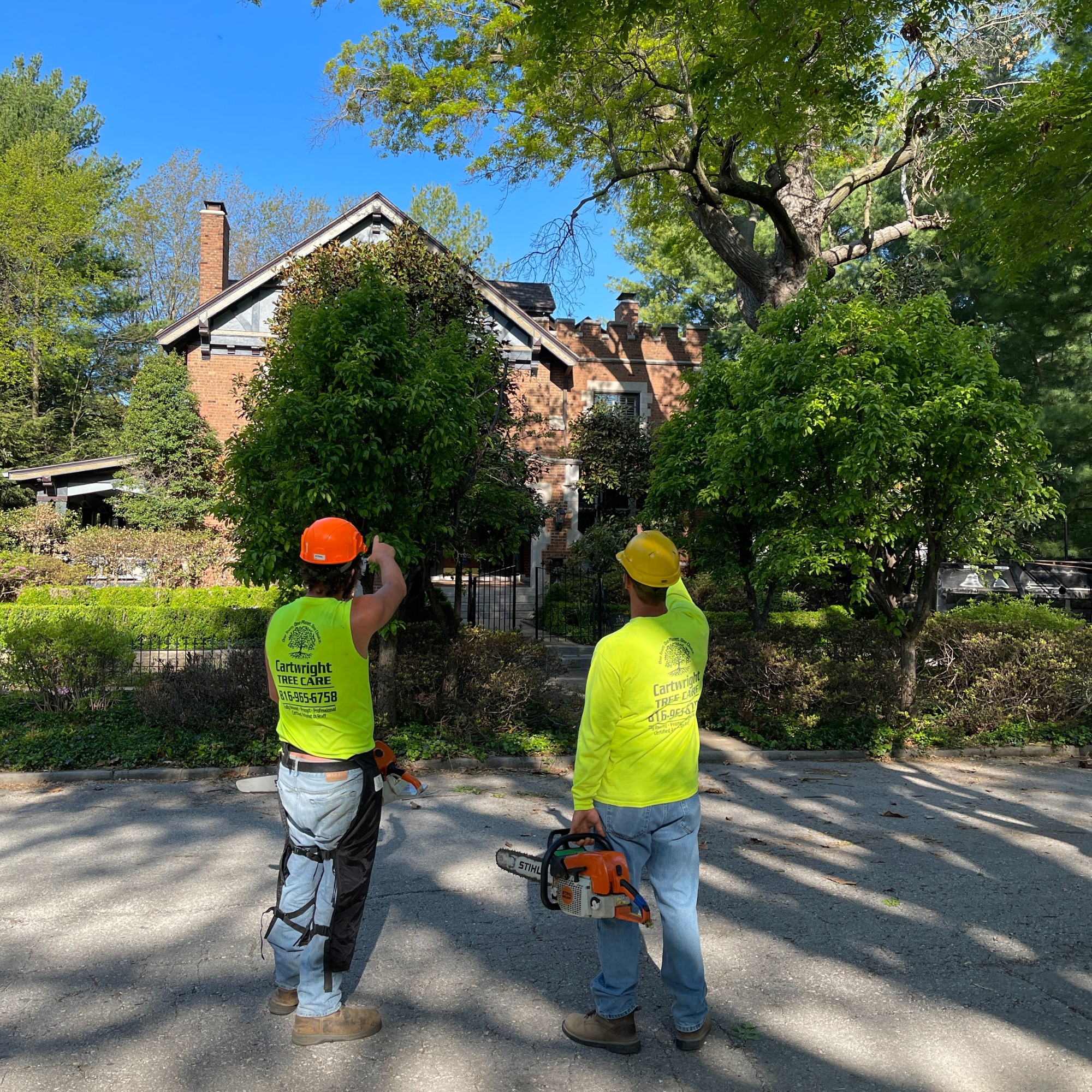 inspecting property before starting tree trimming inspecting property before starting tree trimming