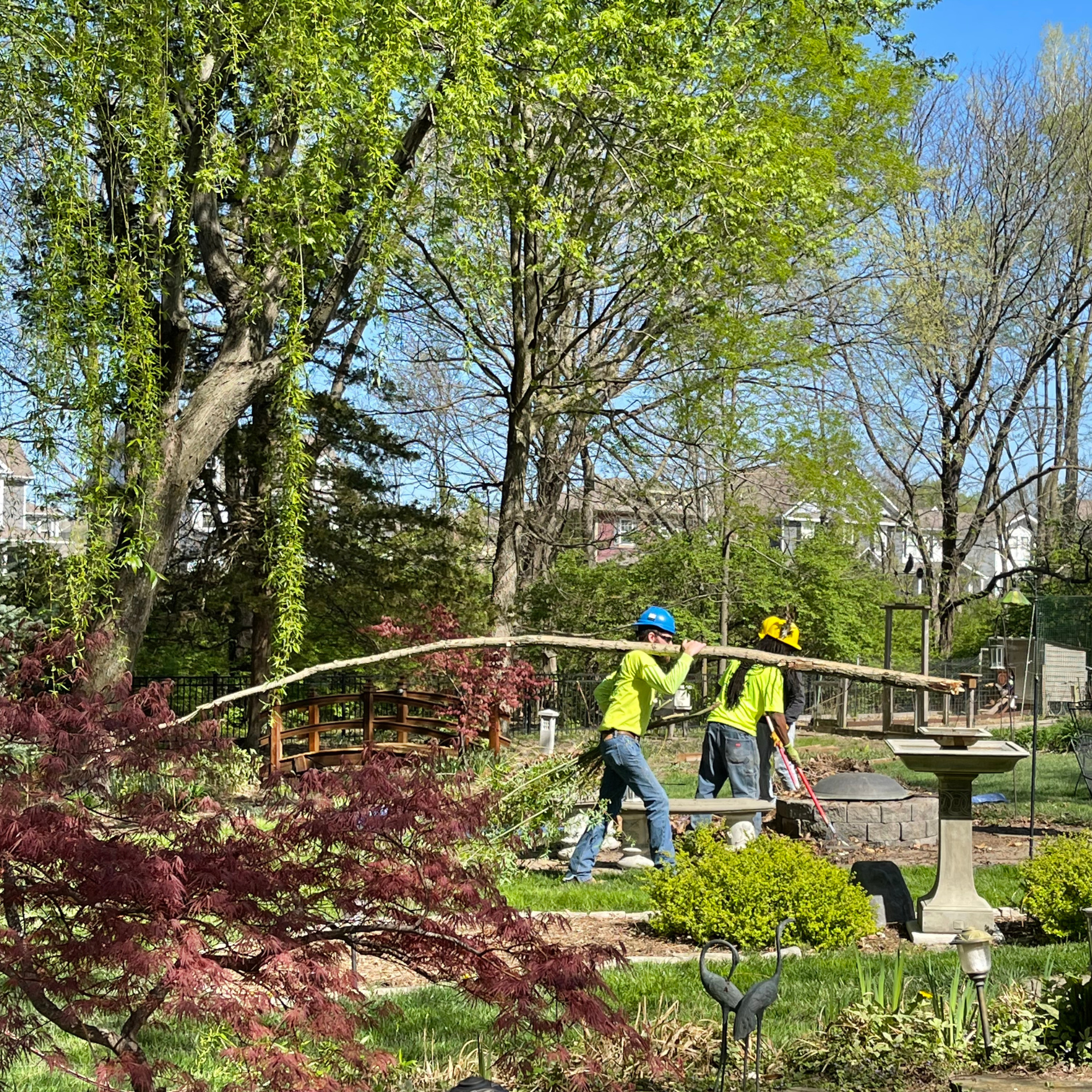 Cartwright Tree Care crew cleaning up tree debris Cartwright Tree Care crew cleaning up tree debris