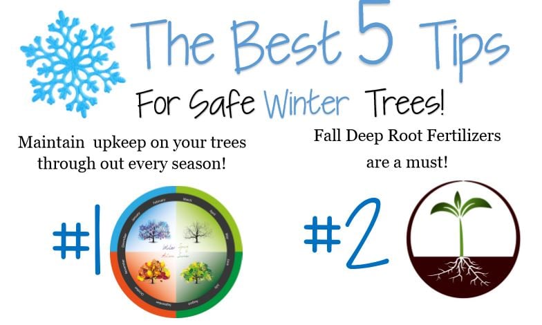 5 Winter Tips Cover.jpg