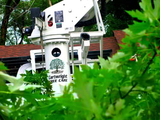 Free tree care quotes in kansas city missouri