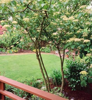 BHG151029.jpg