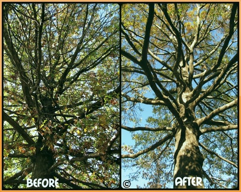 BeforeAfter 2