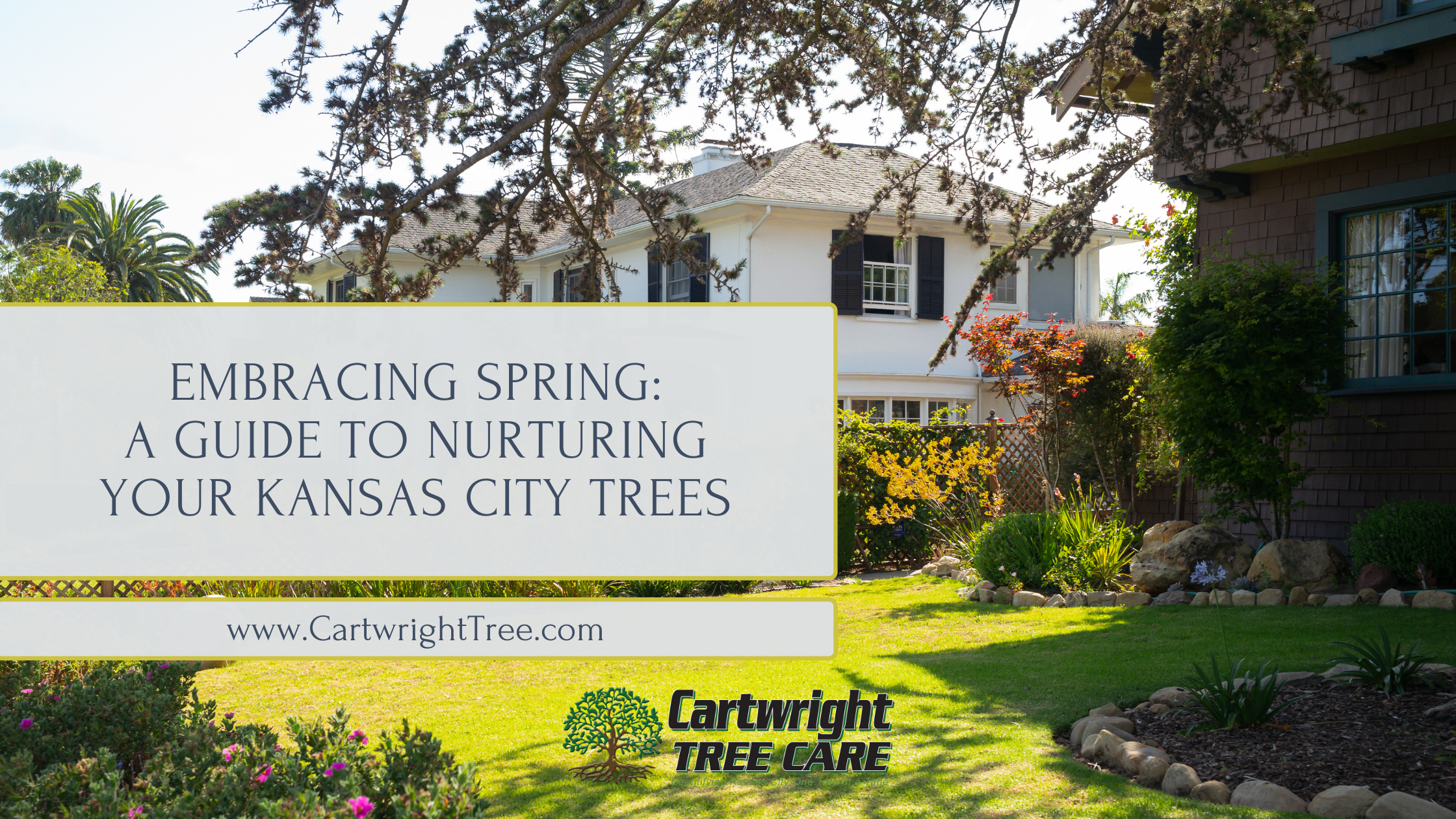 Blog Cover - Embracing Spring A Guide to Nurturing Your  Kansas City Trees