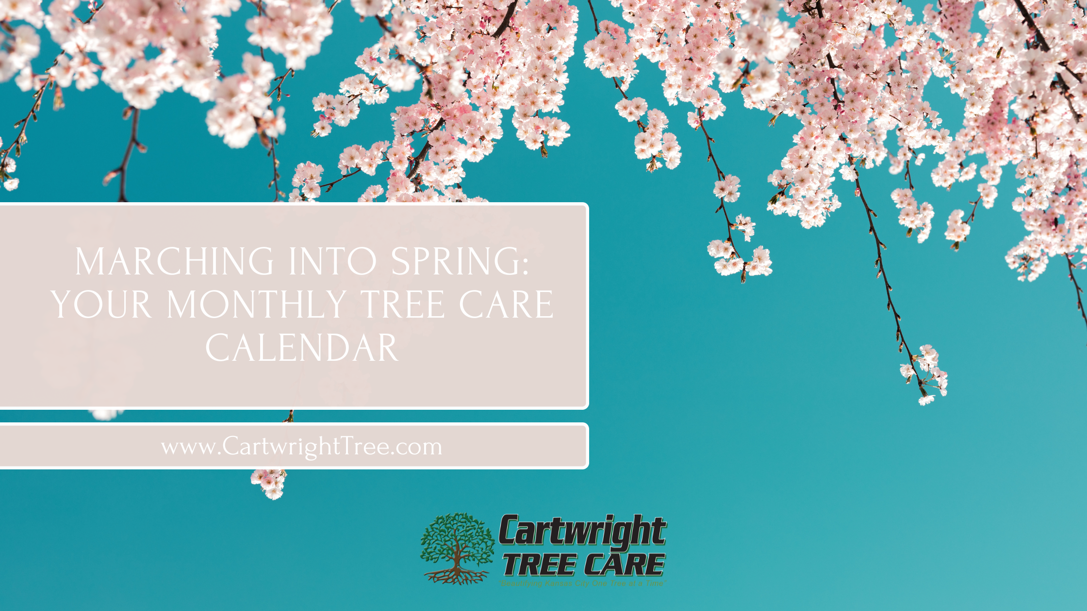 Blog Cover - Marching into Spring Your Monthly Tree Care Calendar