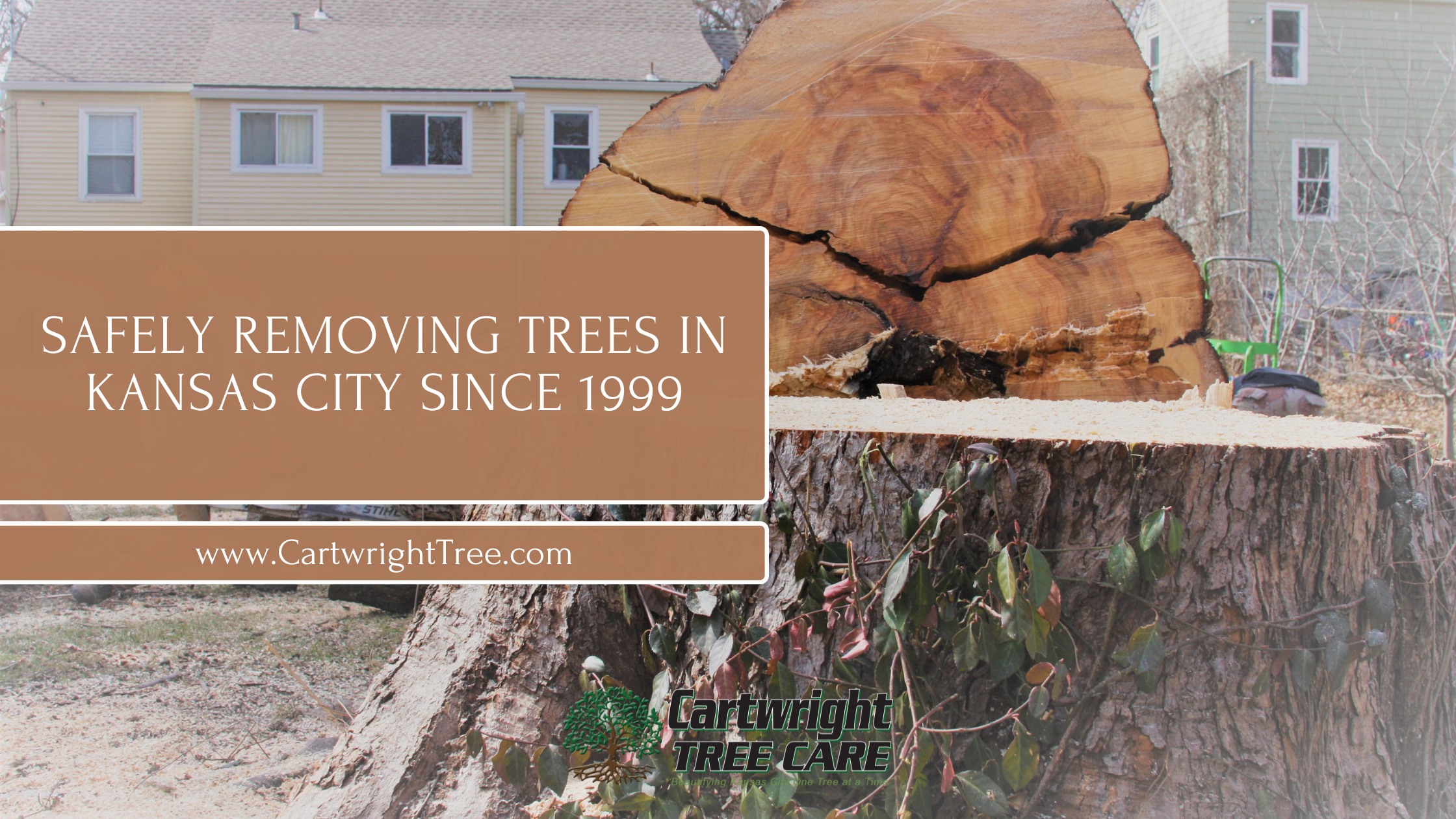 Blog Cover - Safely Removing Trees In Kasnas City Since 1999