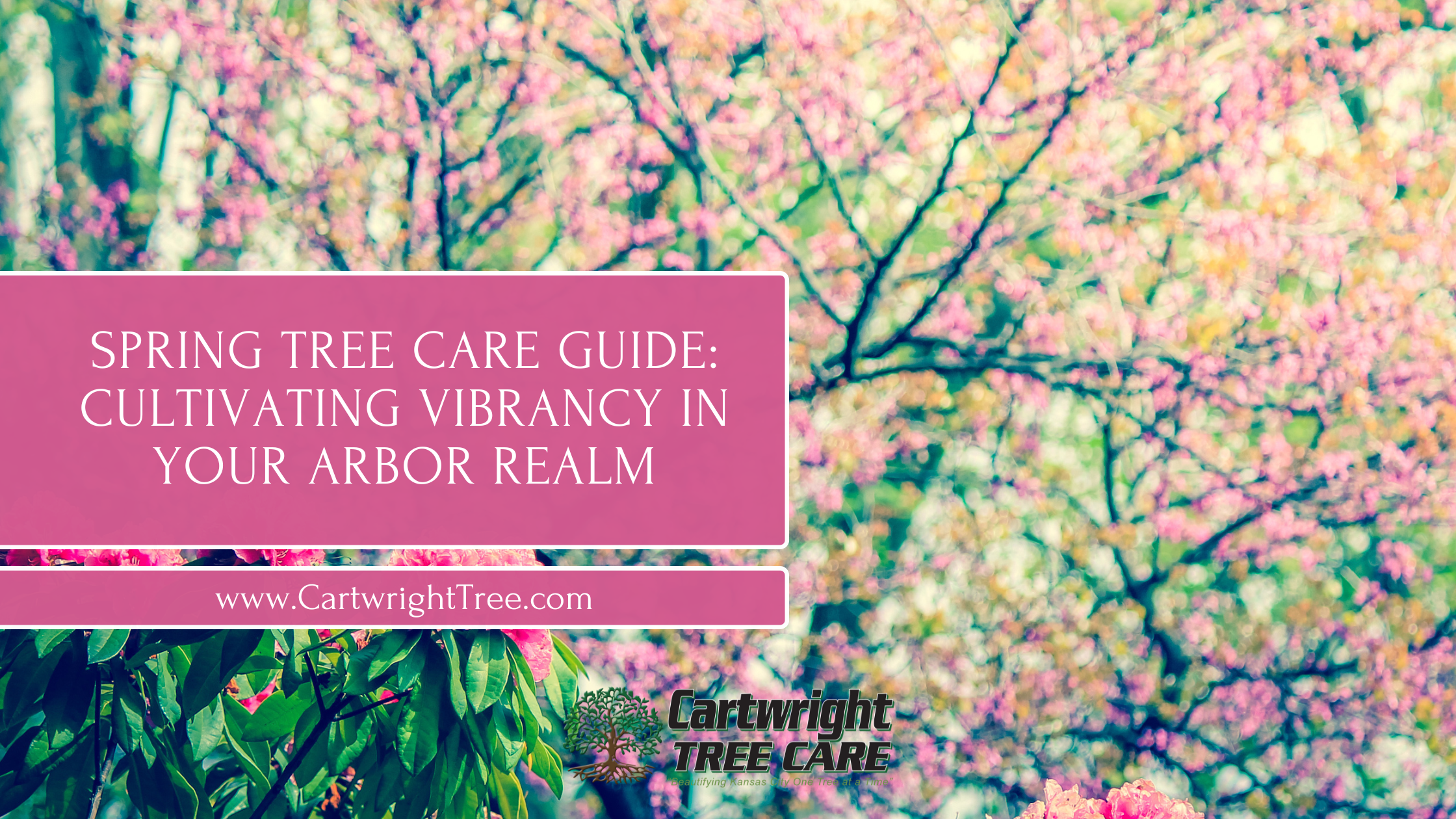 Blog Cover - Spring Tree Care Guide Cultivating Vibrancy in Your Arbor Realm
