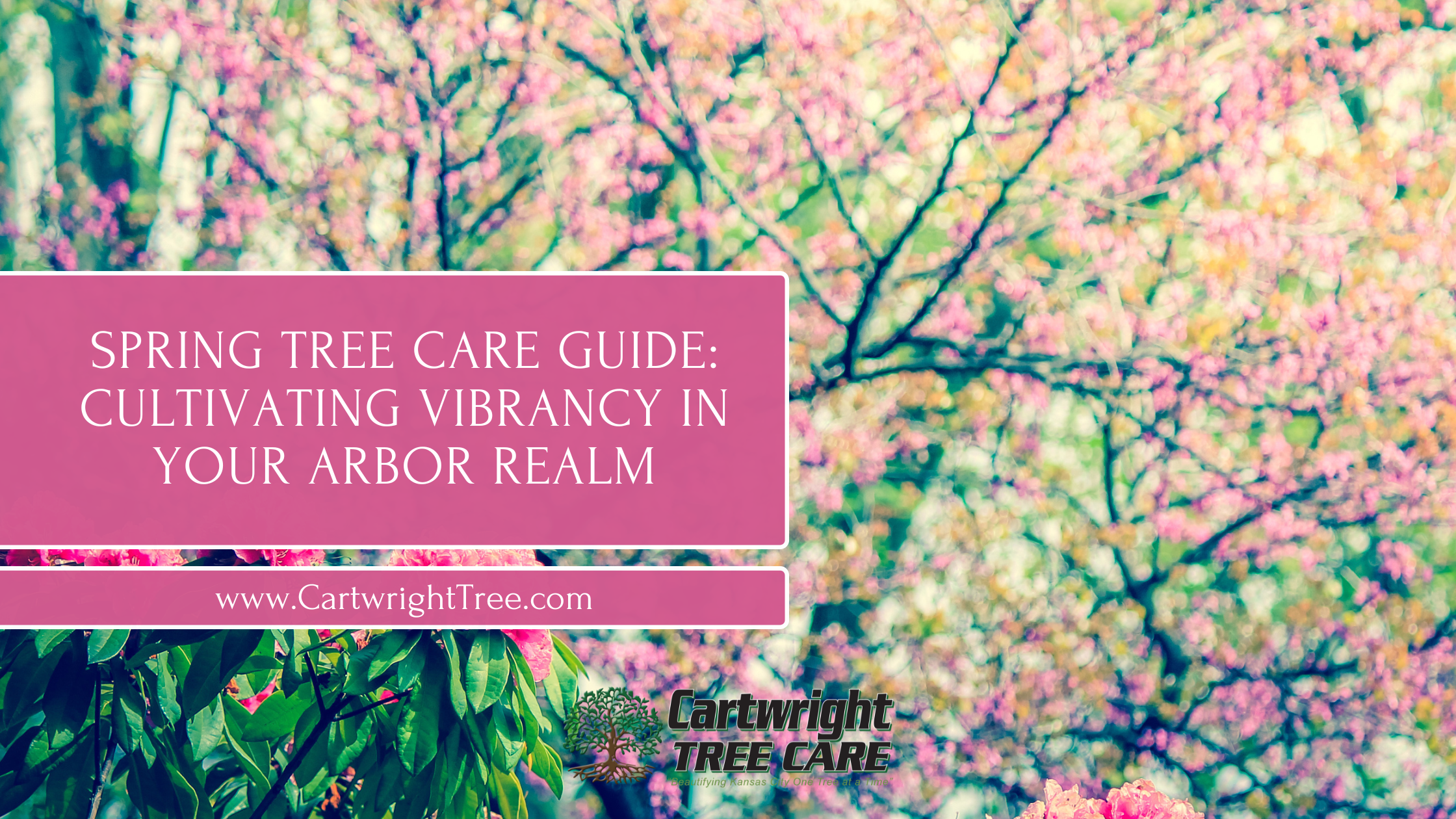 Your Spring Tree Spring Tree Care Guide: Cultivating Vibrancy in Your Arbor Realm