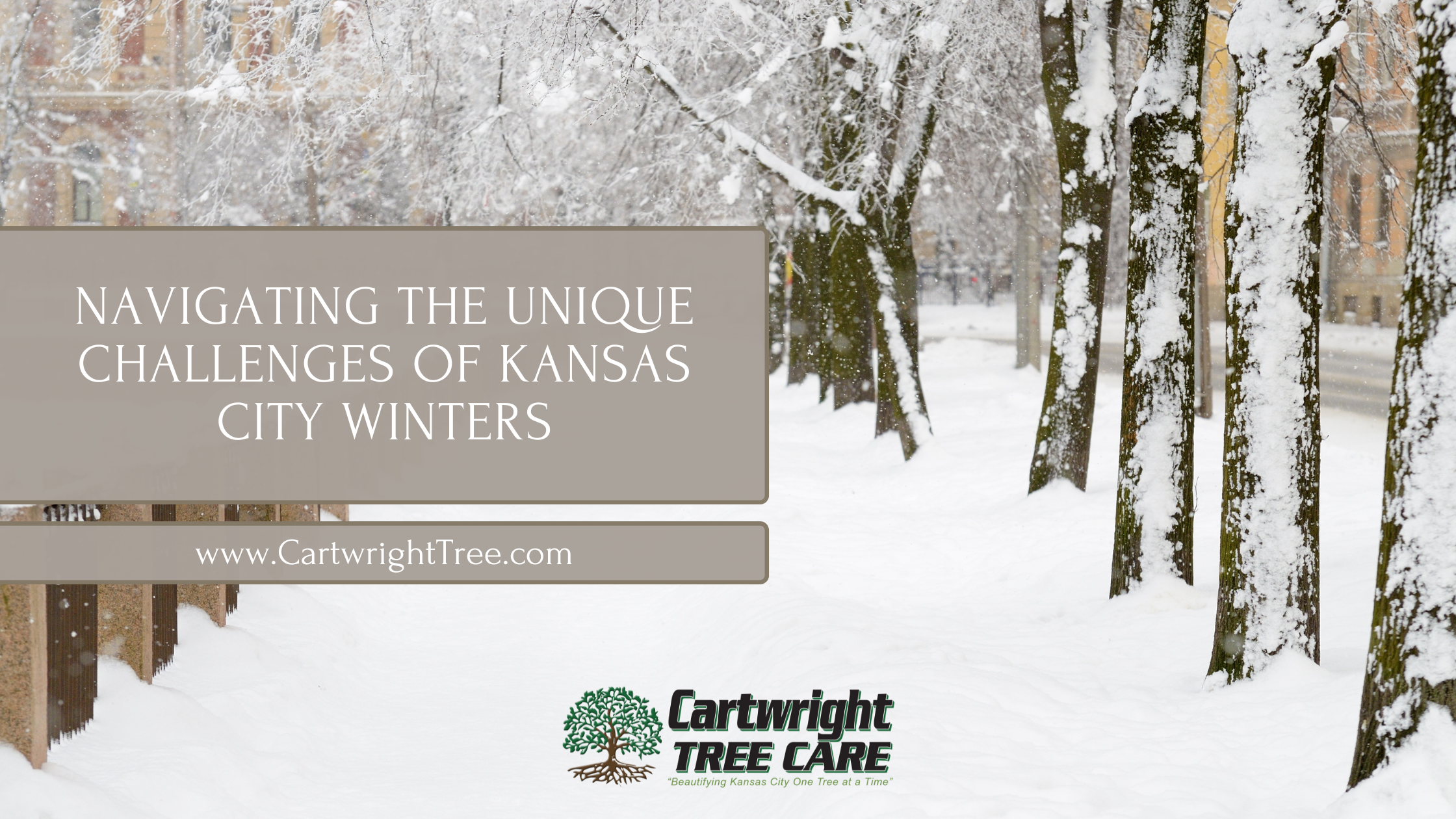 Blog Cover Navigating the Unique Challenges of Kansas City Winters