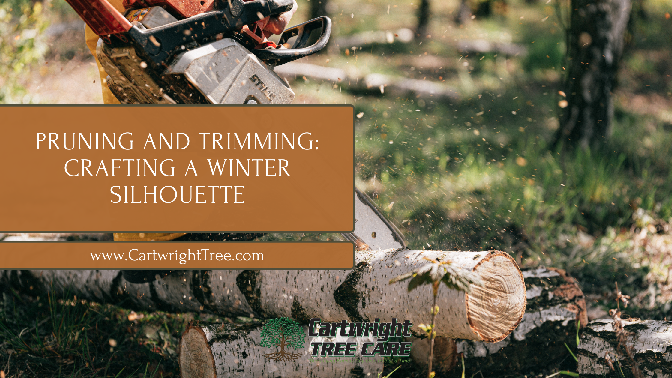 Blog Cover Pruning and Trimming Crafting a Winter Silhouette