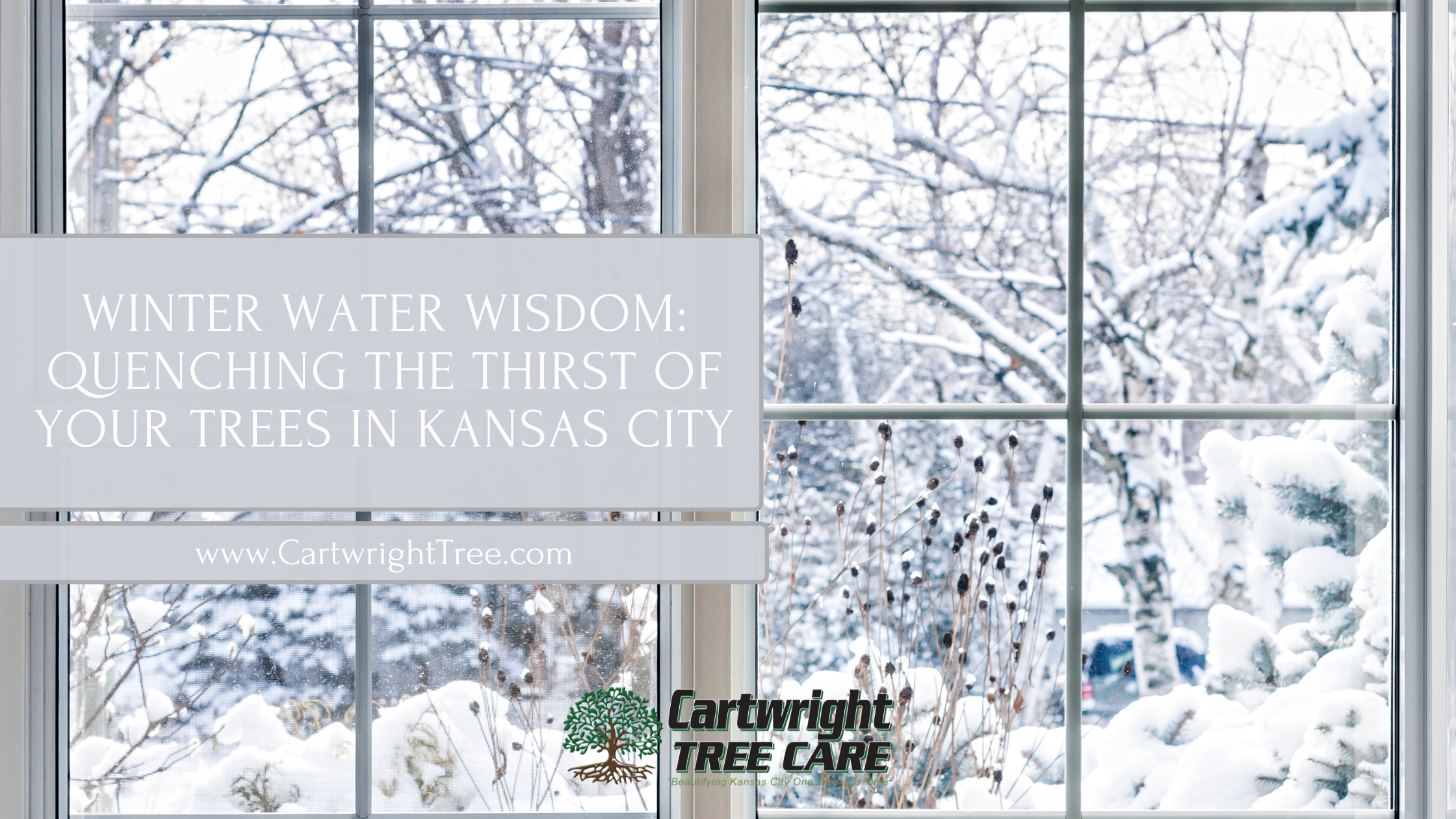 Blog Cover Winter Water Wisdom Quenching the Thirst of Your Trees in Kansas City