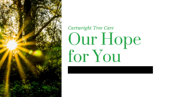 Our Hope for You
