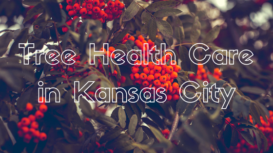 Kansas City Tree Health Care Services