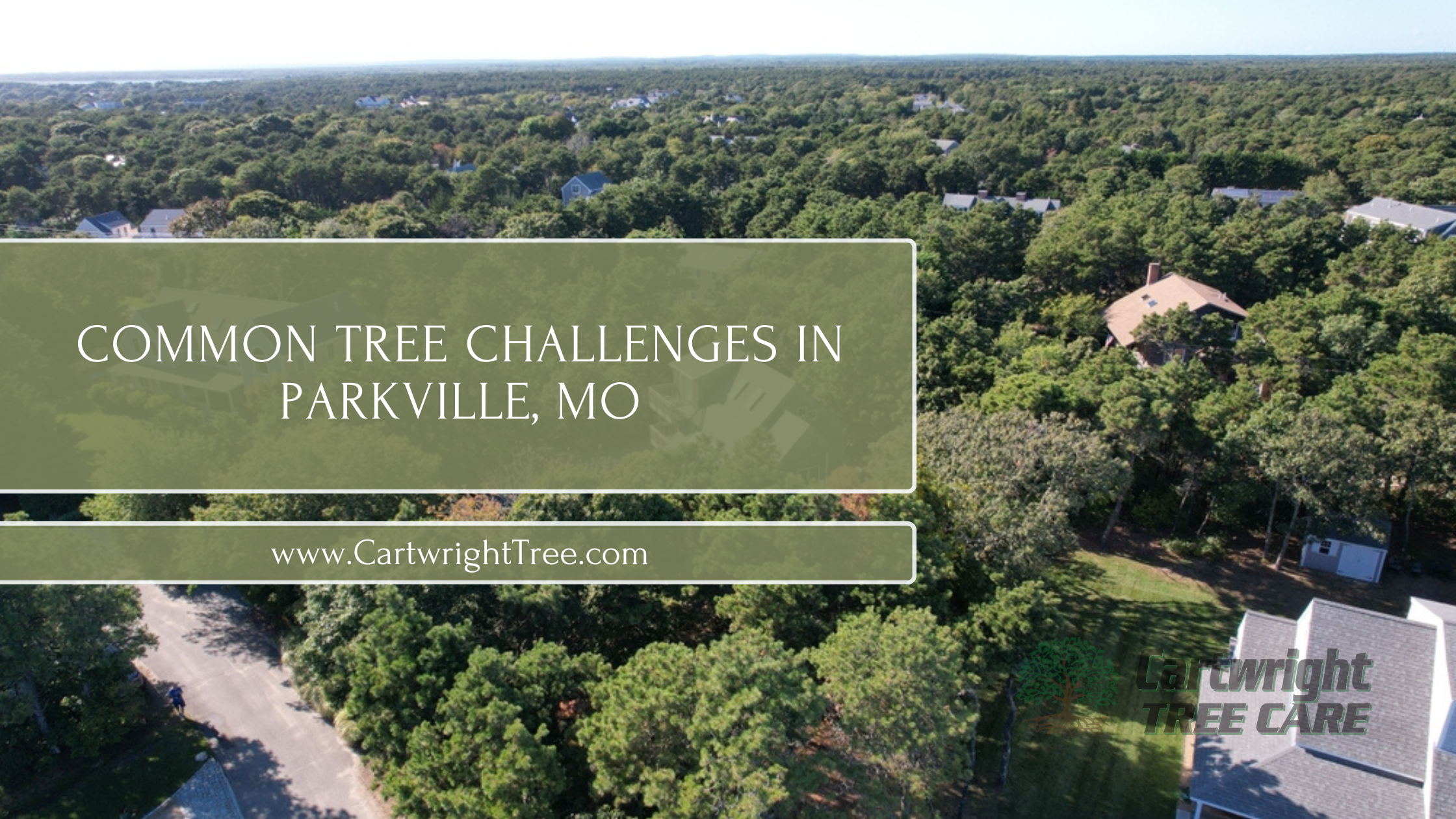 Common Tree Challenges in Parkville, MO