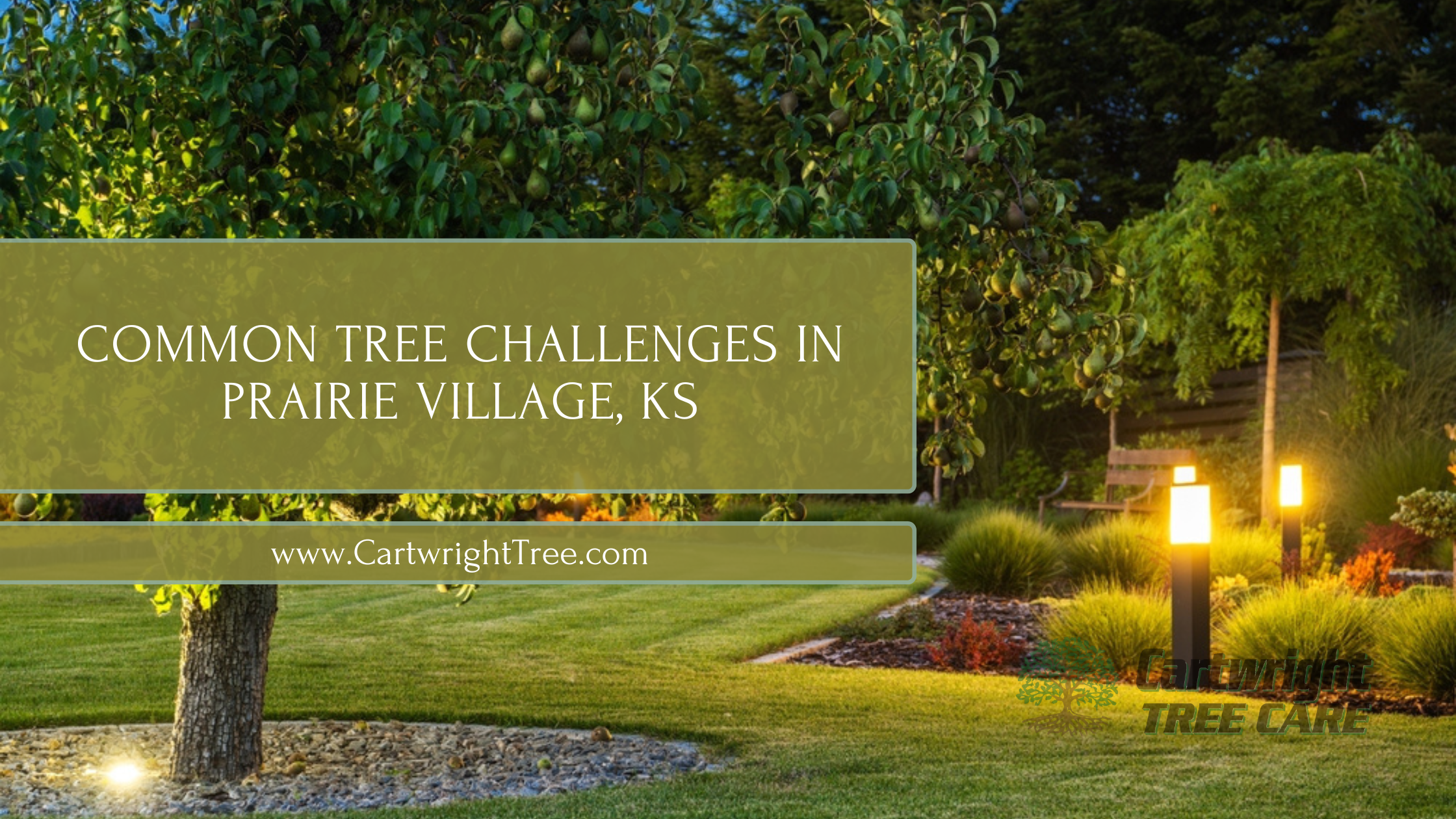 Common Tree Challenges in Prairie Village KS