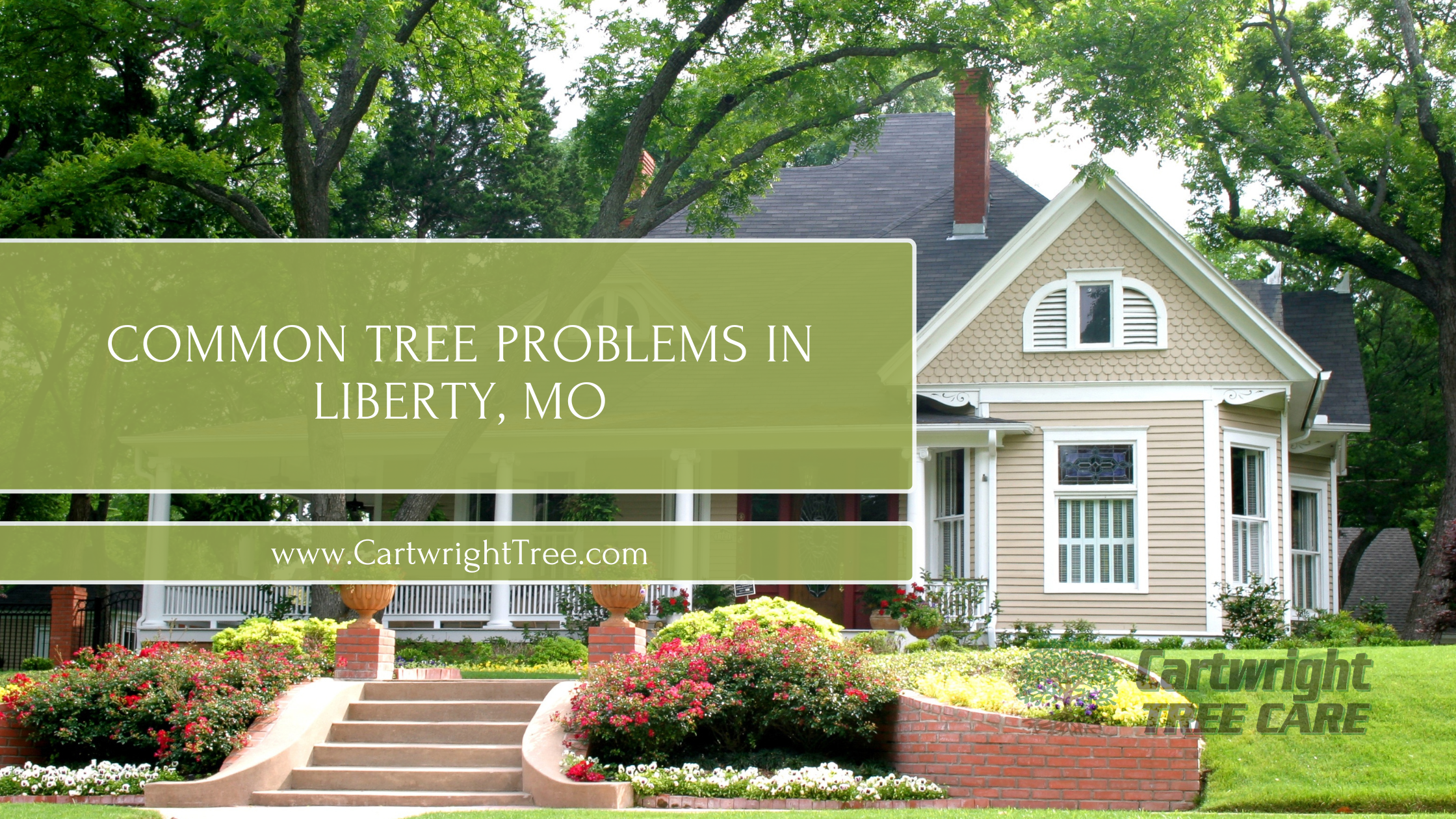 Common Tree Problems in Liberty, MO