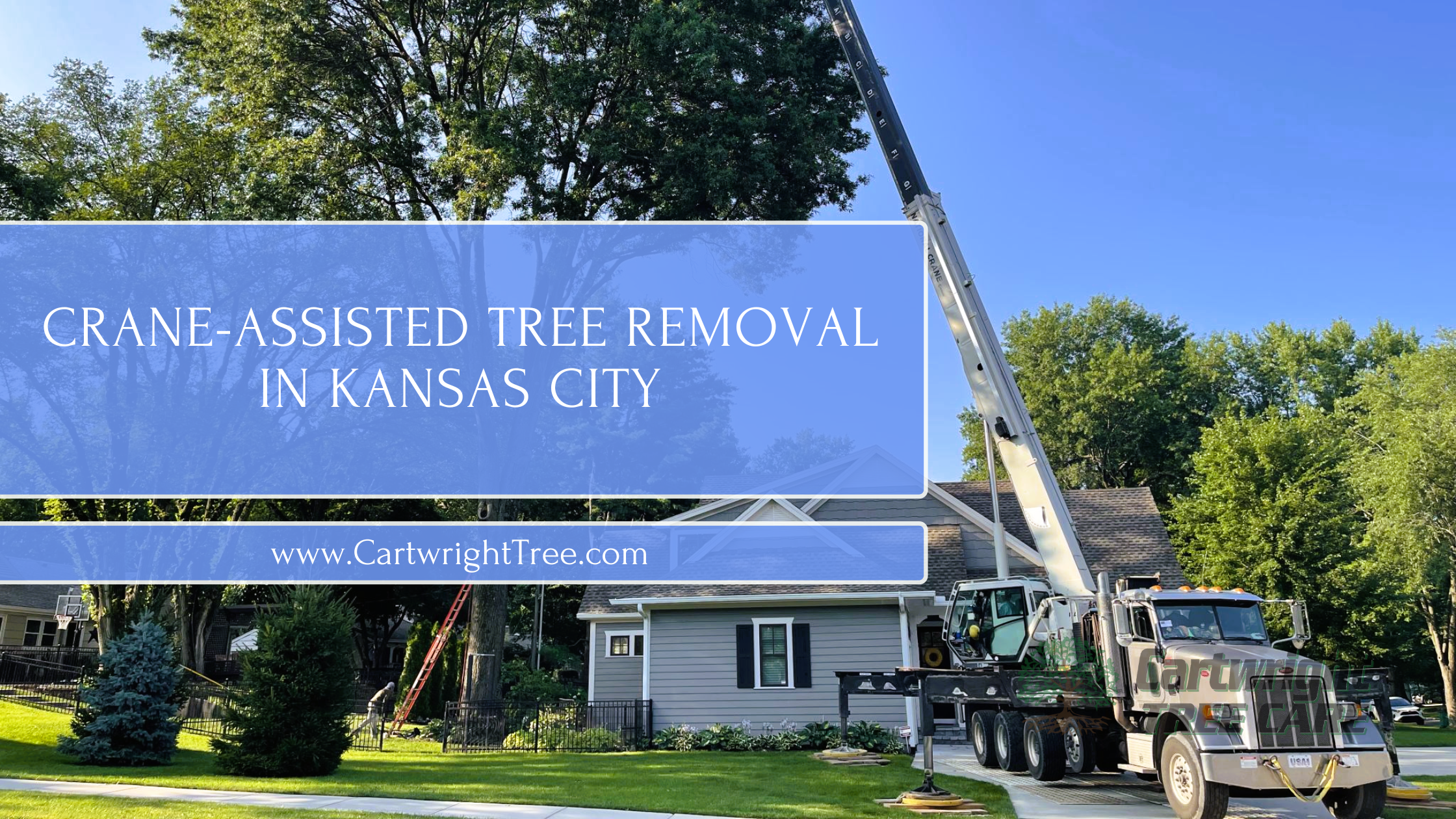 Crane-Assisted Tree Removal in Kansas City