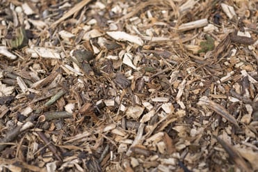 Detailed view of wood chippings in a pile-3