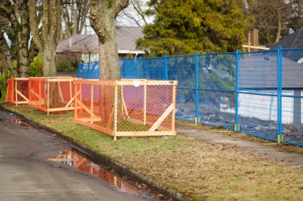 Embark_Services_Tree_Preservation.jpg