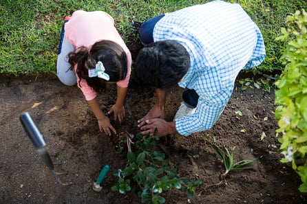 Father and daughter planting tree in garden at backyard