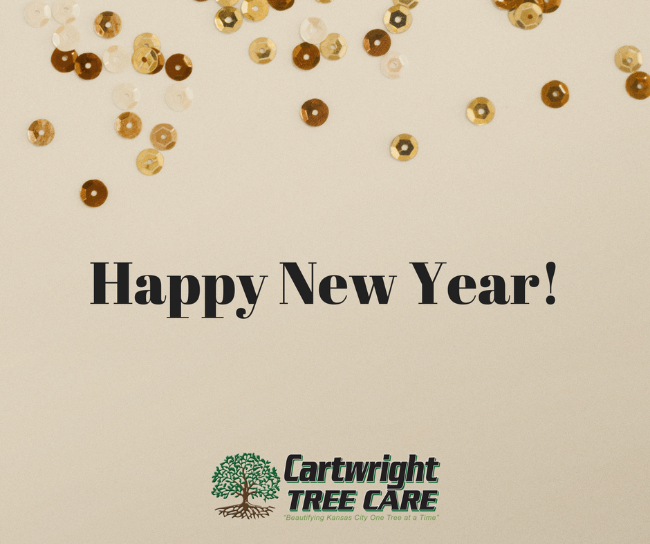 Happy New Year!.png