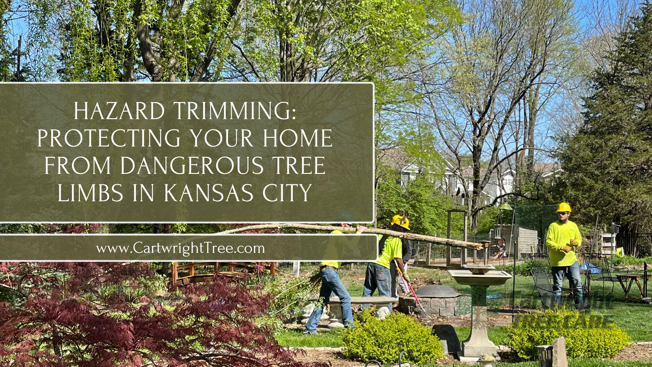 Hazard Trimming Protecting Your Home from Dangerous Tree Limbs in Kansas City